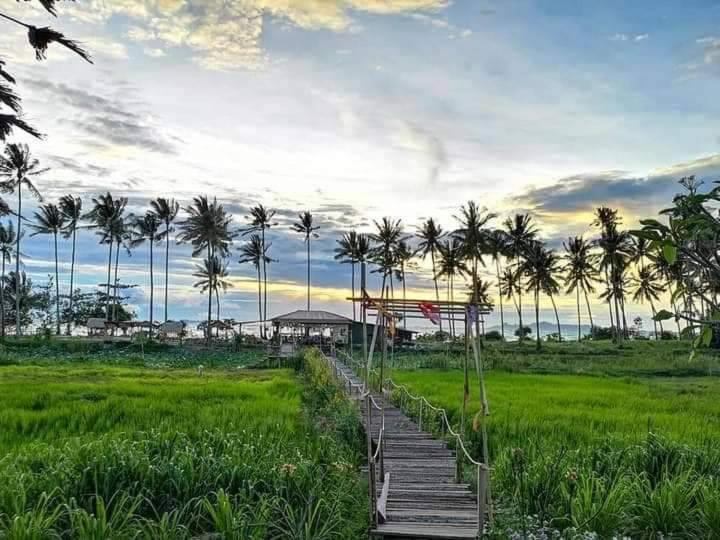I - Talay Taling Ngam Samui - เขา ป่า นา เล ตลิ่งงาม สมุย Hotel Bagian luar foto